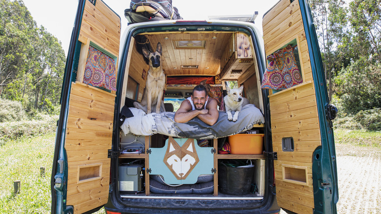 The open back of a camper, showing a man and two dogs on the bed