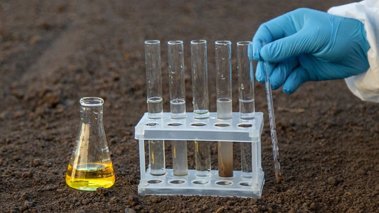 Image of a gloved hand testing soil with a pipet, next to test tubes and a solution in a glass cylinder.