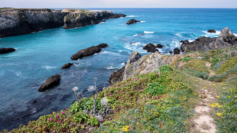 View of Pacific Ocean in Mendocino Headlands State Park
