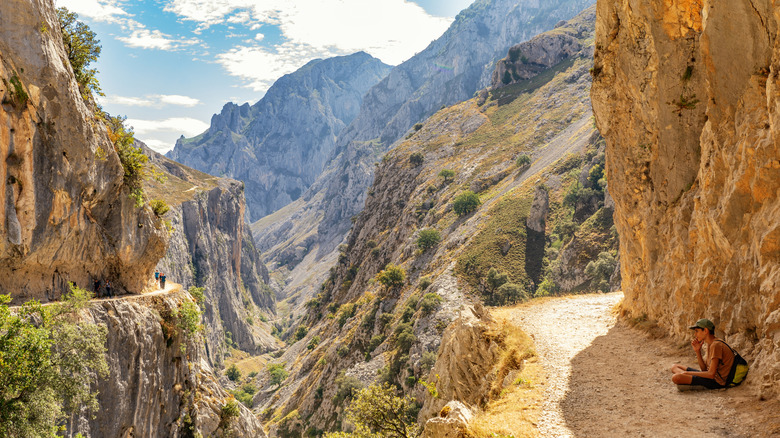 Hiking trail cut into rock walls above a canyon