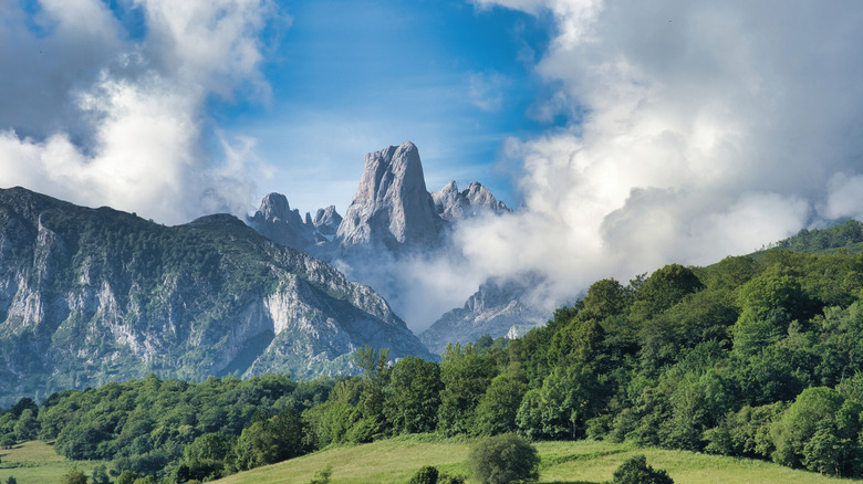 Naranjo de Bulnes peak, Spain, surrounded by clouds and forest