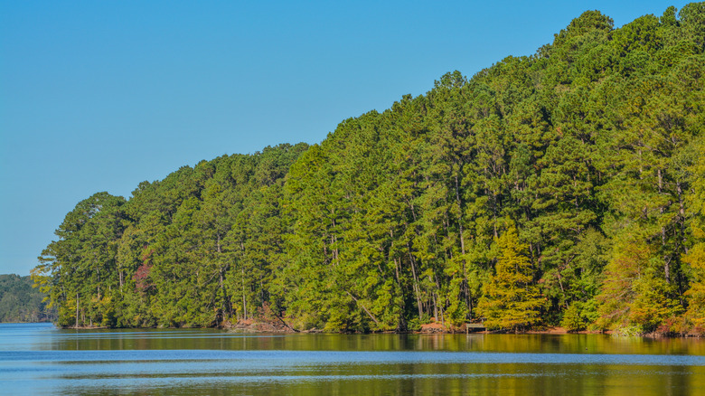 shoreline of Lake Claiborne