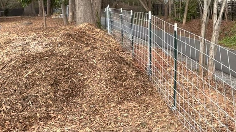 T post fencing around the perimeter of a yard