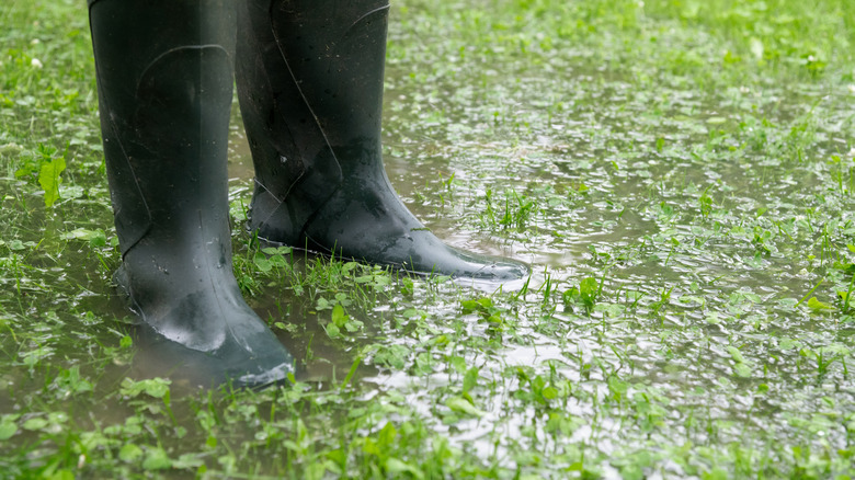Standing in flooded yard in rainboots
