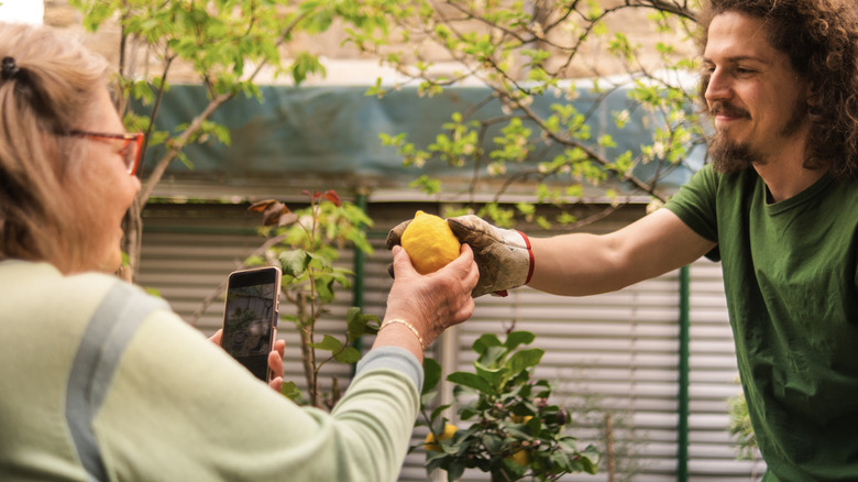 Man smiles while handing a lemon to a woman