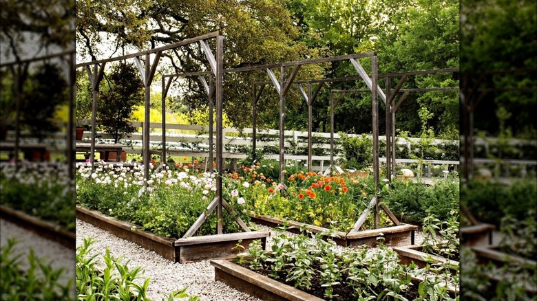 Joanna Gaines' pea gravel covered garden and raised garden beds