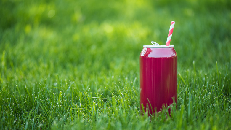 close up of pink soda can on lawn