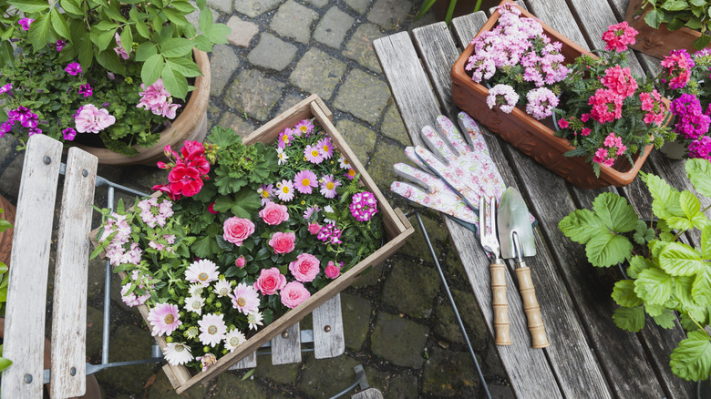 Planter boxes with flowers, gloves, and gardening tools