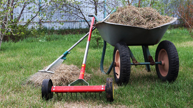 Yard tools on a dethatched yard