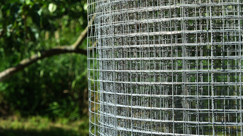 A roll of square wire mesh