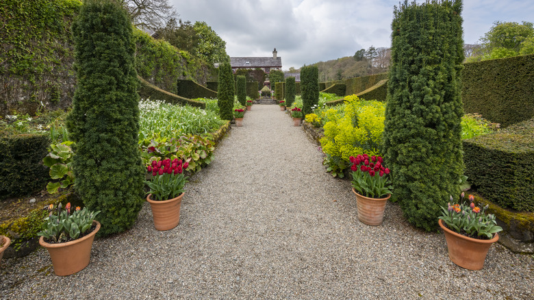 Wide, crushed gravel garden path