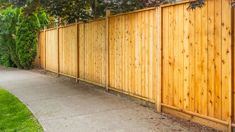 Completed red cedar fence along pathway
