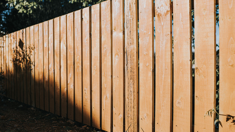 A vertical wooden fence with dark shadows from trees and bushes