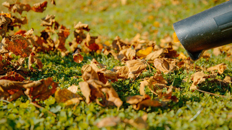 leaf blower blowing leaves off the grass