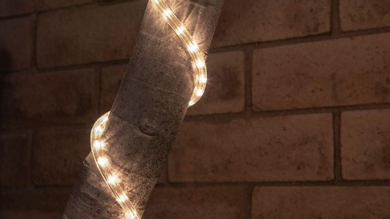 Rope lights wrapped around a tree in the dark