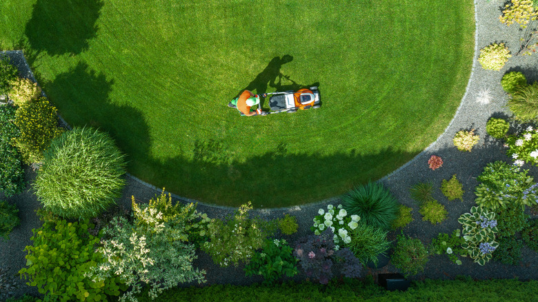 Man mowing a lush green lawn surrounded by perennials