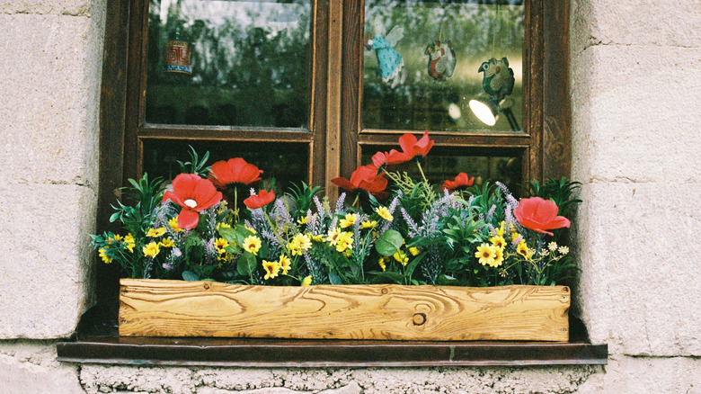 oak window box outside a house