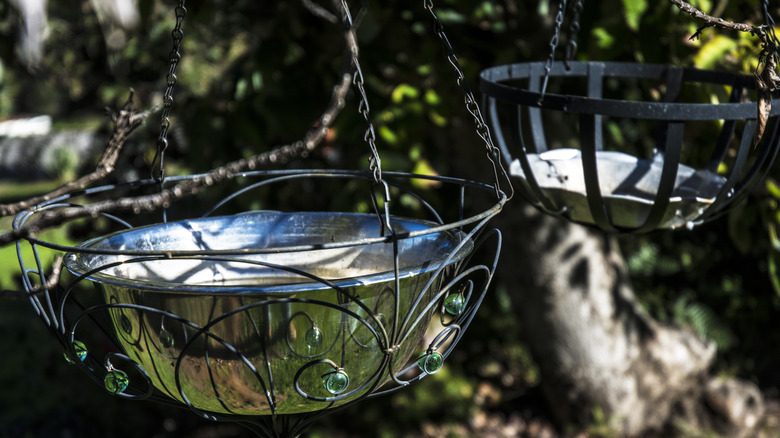 Two hanging birdbaths in the trees