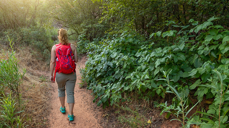 Woman hiking by poison ivy