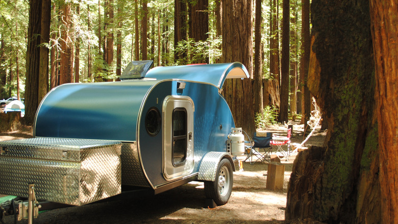 Teardrop camper in a grove of redwoods