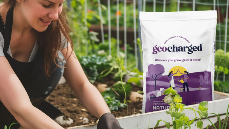 A woman working in her garden with a bag of Geocharged fertilizer