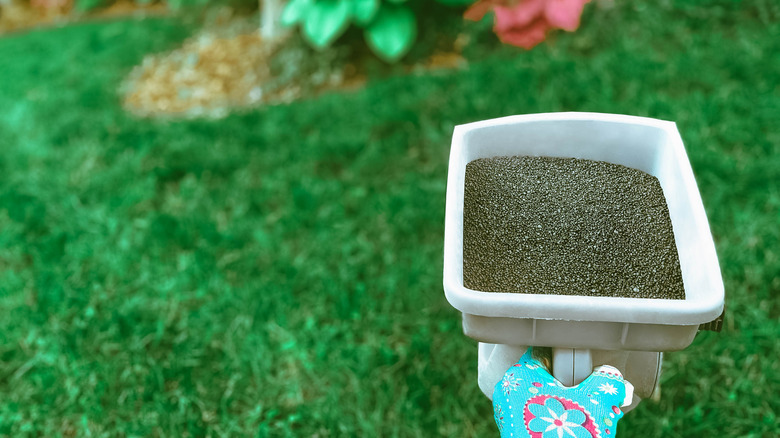 A floral gloved hand holding a container full of fertilizer with a green lawn in the background