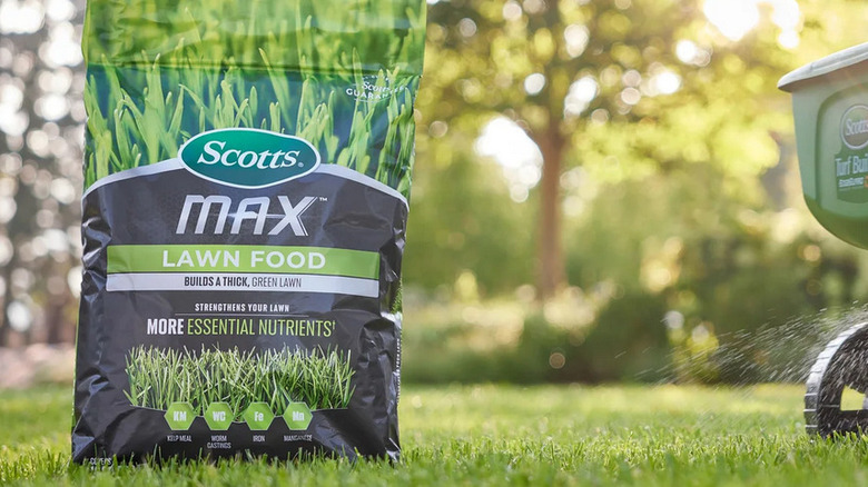 A bag of Scotts Max lawn food sitting on a lush, manicured lawn
