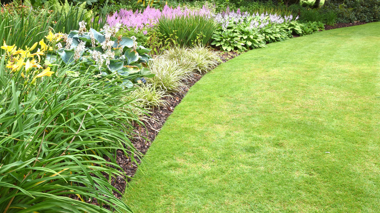 perfectly edged and mowed lawn