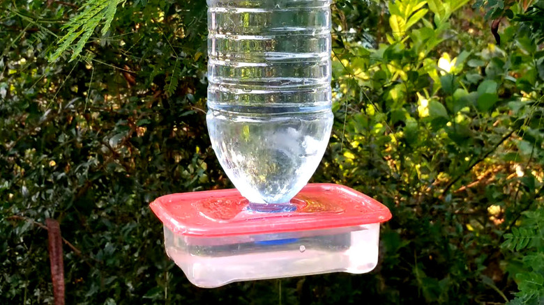 A DIY self-refilling hummingbird feeder made out of recycled materials
