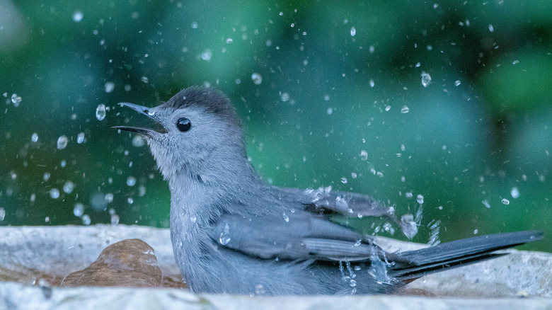 Erin And Ben Napier Transform A Home Decor Staple Into A Unique DIY Birdbath