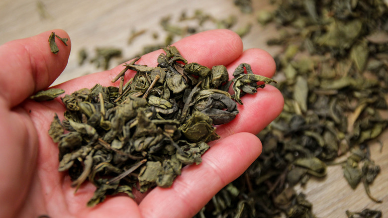 Dried green tea leaves closeup