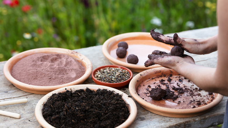 Gardener rolling clay to make seed bomb