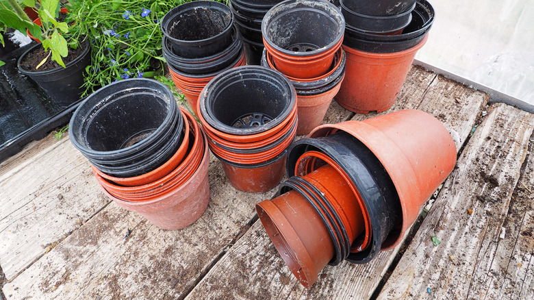 stacks of empty plant nursery pots
