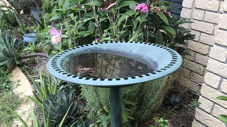A birdbath that's slightly tilted and deeper on one end