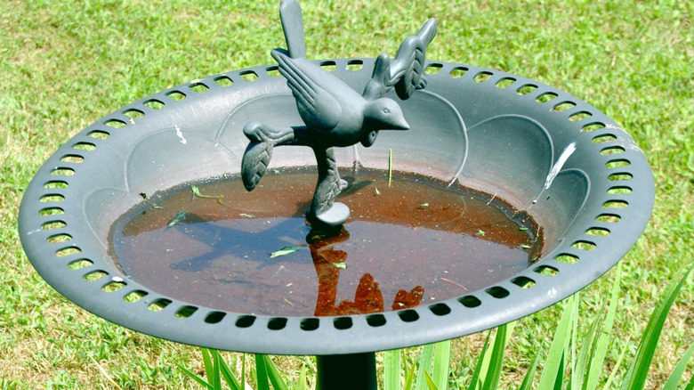 A rusty birdbath