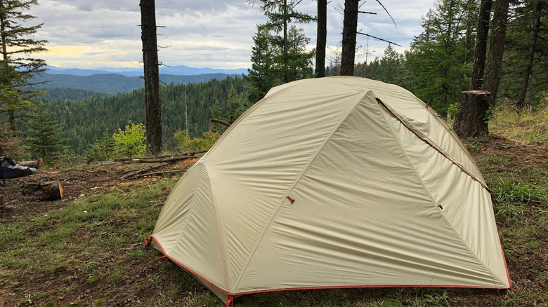 tent on dispersed camping site in national forest