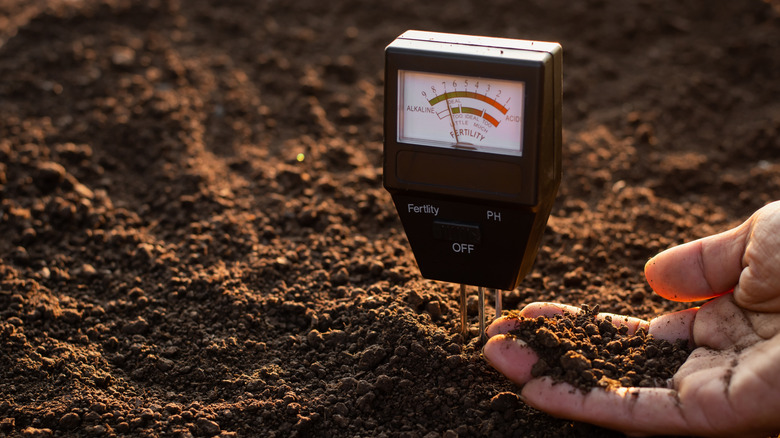 Testing soil pH