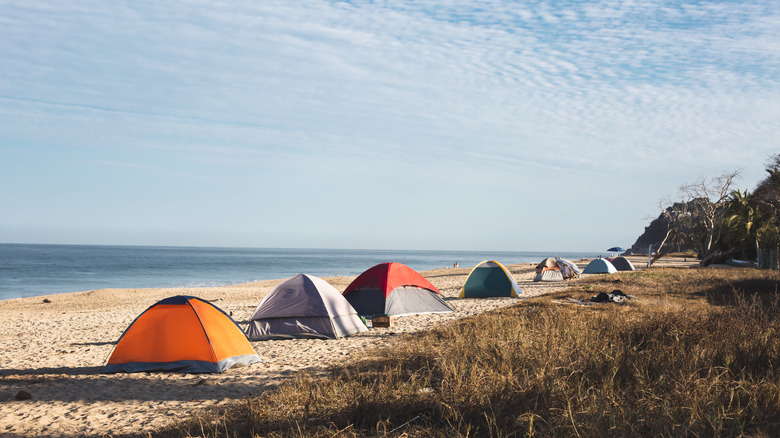 tents lined up on the beach