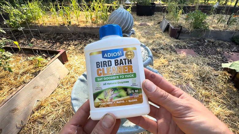 Person holding up Adios birdbath cleaner in front of a fountain birdbath