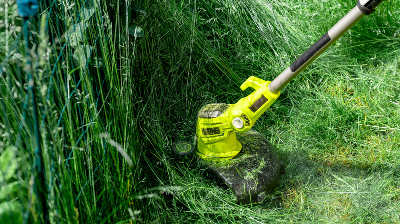 Someone weed whacking tall grass