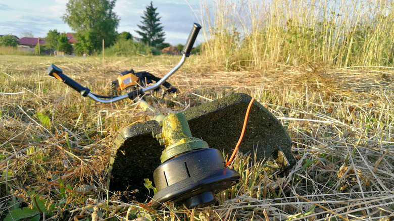 A weed whacker laying in cut grass