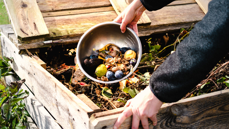 Person emptying fruit scraps into a wooden compost bin