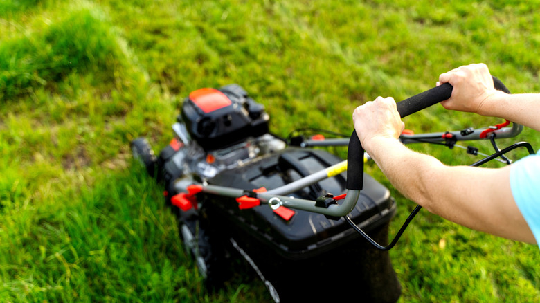 Mowing a lawn with a push mower