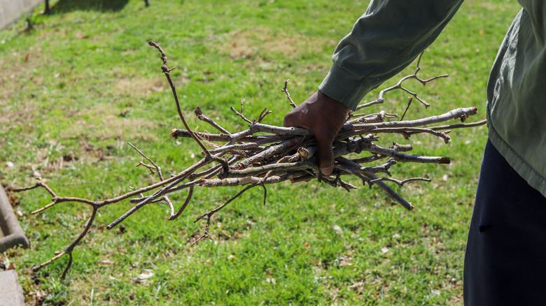 Person holds collected twigs and sticks