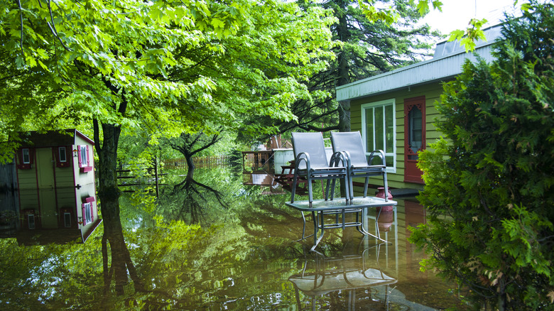 Flooded home and back yard