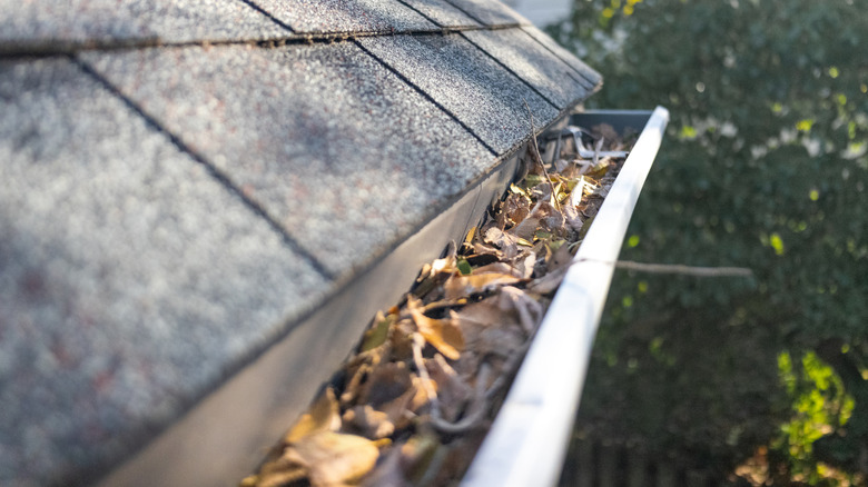Gutter full of leaves