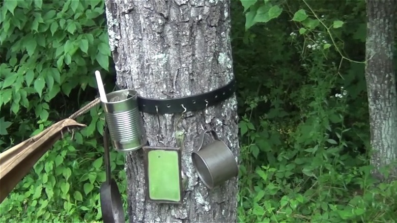 Belt wrapped on tree hold things with S hook