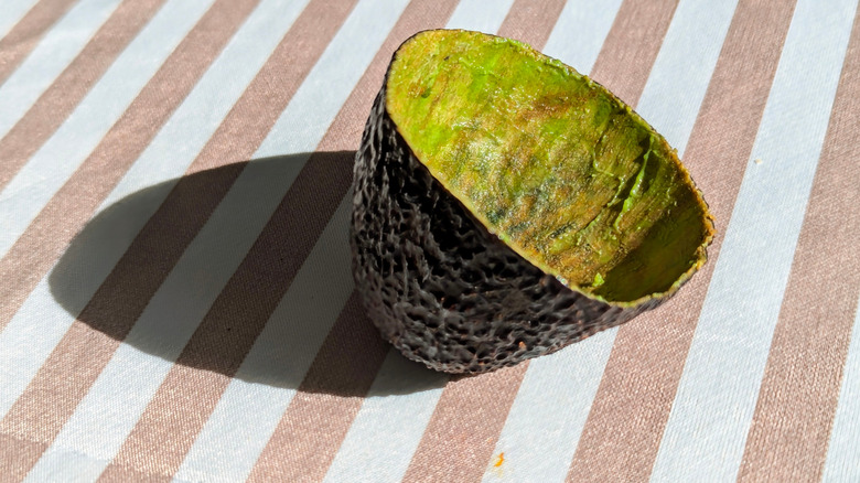 Half of an avocado skin or peel