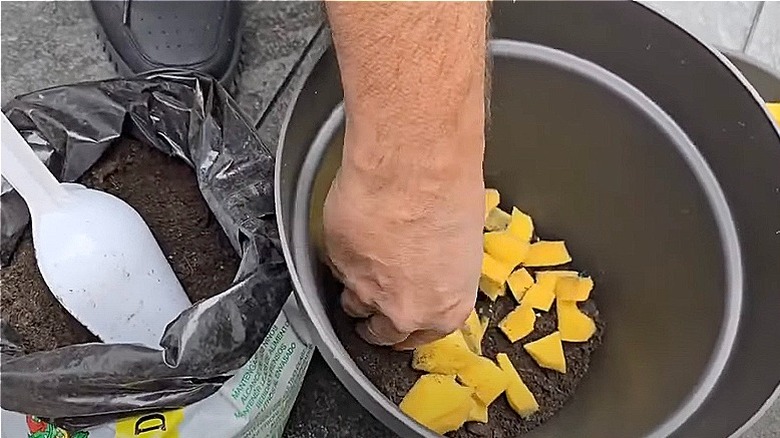 Woman cutting a red dish sponge with a scissors