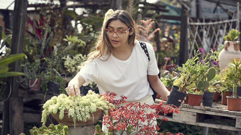 Woman in a white shirt and glasses shopping for native plants